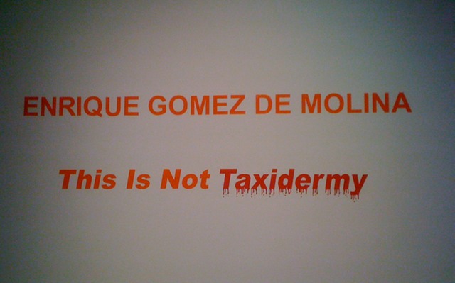 ENRIQUE MOLINA, This Is Not Taxidermy